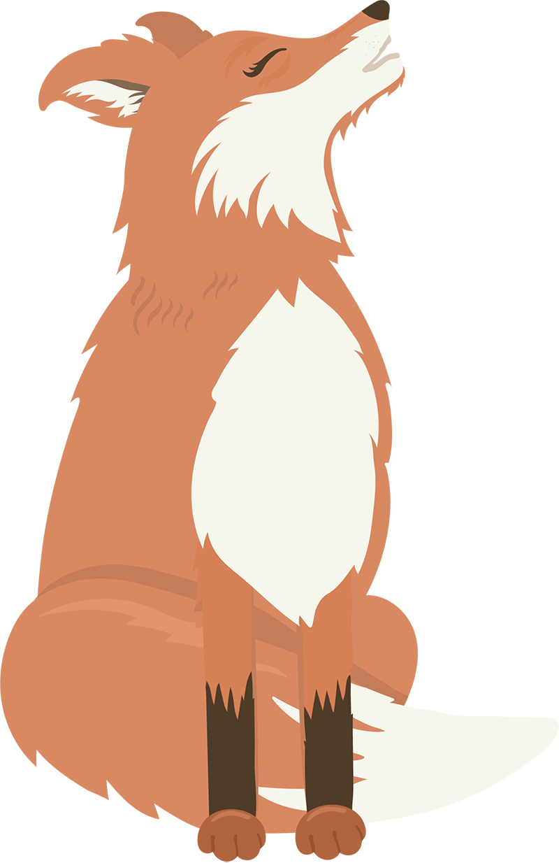 fox